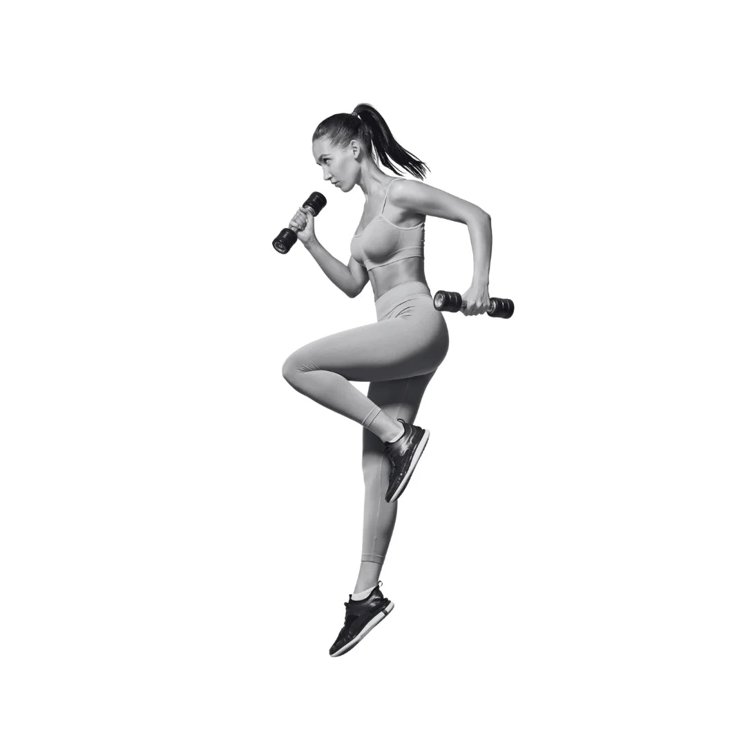 Treino
